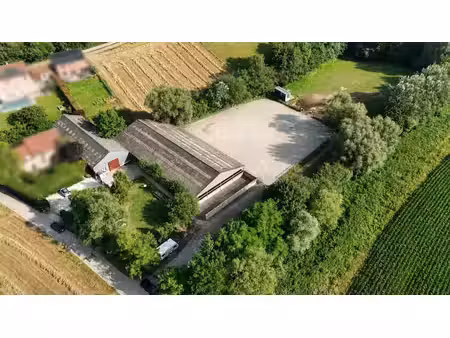 exploitation équestre sur plus d'1 hectare !