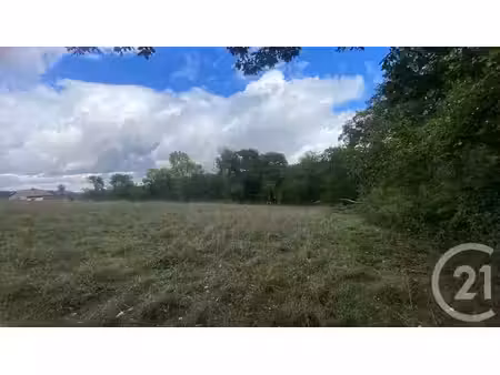 terrain à vendre - 6977 m2 - uglas - 65 - midi-pyrenees