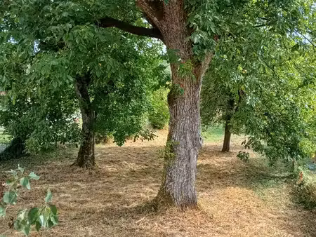 terrain à bâtir