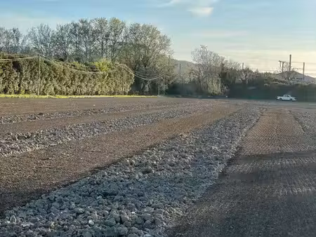 terrain agricole
