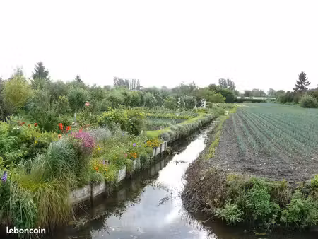 terrain hortillonnages