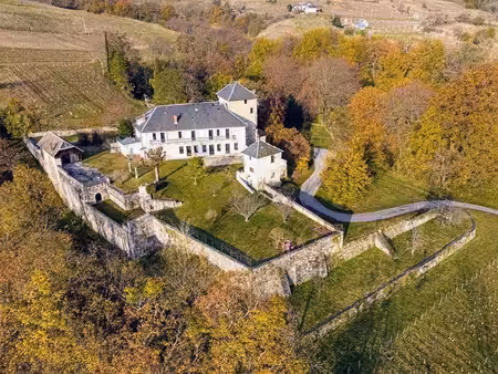château à vendre