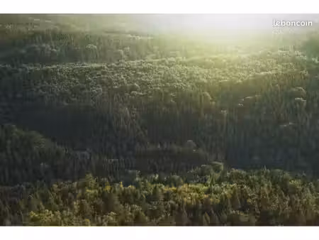 recherche terrain boisé / parcelle de bois – lentilly et alentours