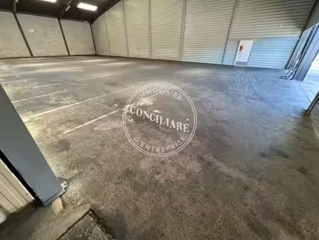 location entrepôt 1050m²