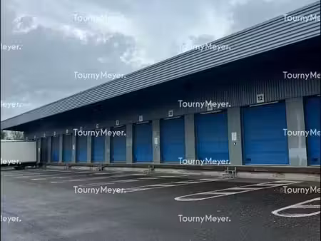 location entrepôt cesson-sévigné 35510 1196m²