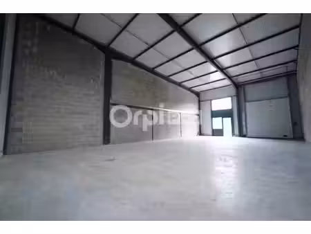 location local d’activités trevoux 01600 234m²
