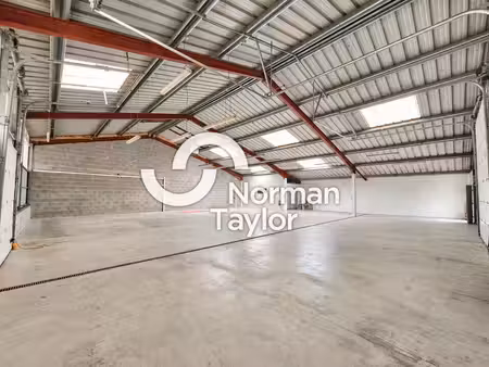 location local d’activités saint martin de seignanx 40390 355m²