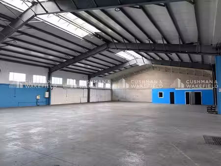 location local d’activités lingolsheim 67380 1000m²