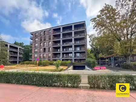 coprimmo - uw specialist in de zuidrand en antwerpen centrum