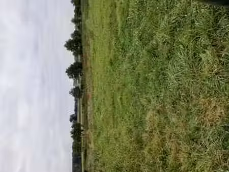vente terrain à évran (22630) : à vendre / évran