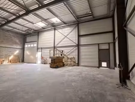 location entrepôt colomiers 31770 580m²