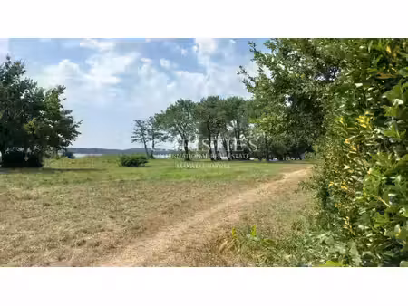 lacanau  new aquitaine  france with id 3587280185