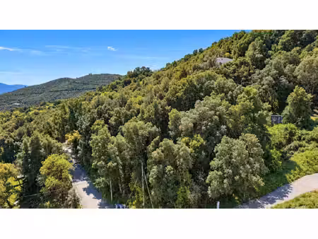 vente terrain 1350 m2 à valle-di-mezzana