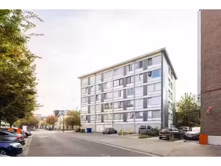 appartement te koop in antwerpen met 3 slaapkamers