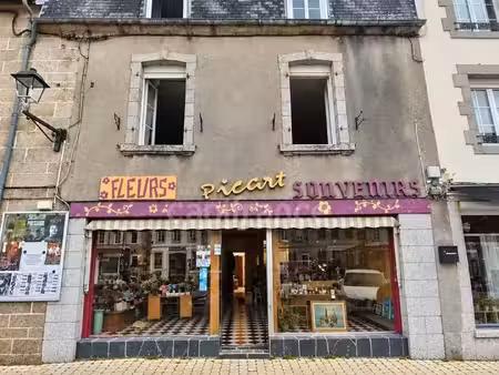 hueloogat – immeuble   logements et fort potentiel