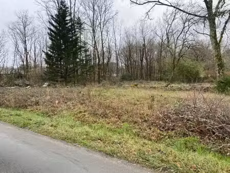 terrain à bâtir à saucats (33650)
