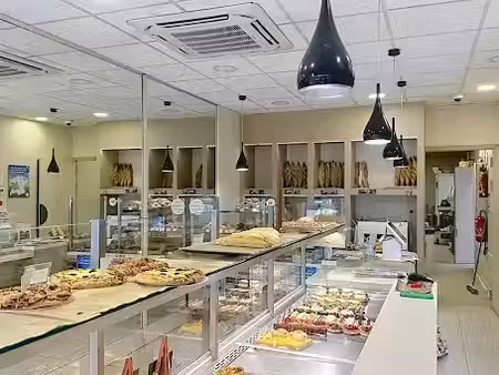 vente locaux professionnels 0 pièces 155 m² à oullins (69600)  214 000 €