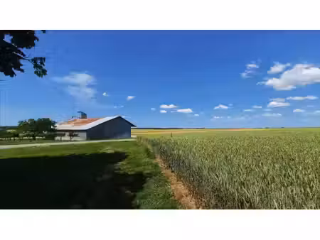 vente terrain 1060000 m² la chapelle-saint-laurian (36150)