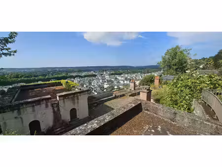 maison d'architecte avec vue panoramique sur chinon