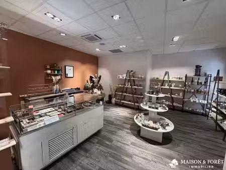 vente locaux professionnels à gien (45500)  425 000 €