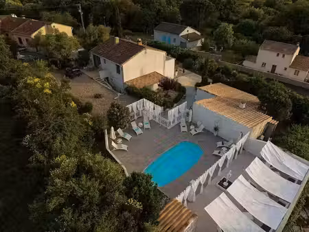 vente locaux professionnels 9 pièces 230 m² à oletta (20232)  790 000 €