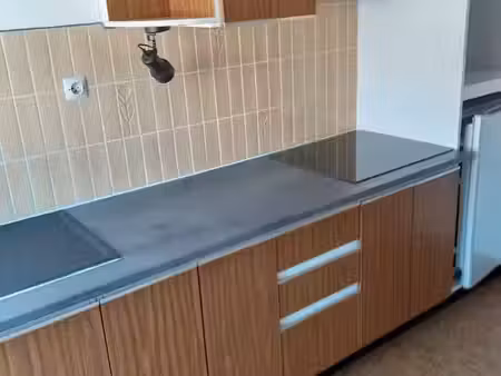 appartement de 55m2 à louer sur lingolsheim