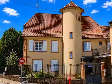 vente villa 12 pièces 500 m² à sainte-marie-aux-mines (68160)  290 000 €