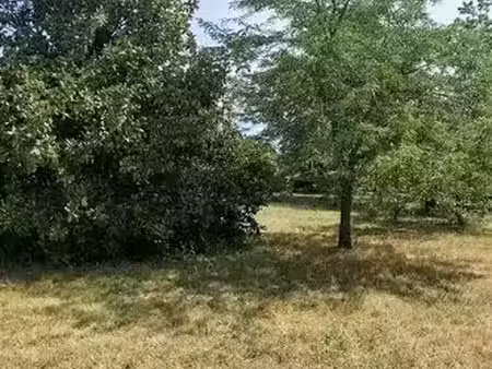 à vendre terrain de 800m2 constructible viabilisé 98000euros