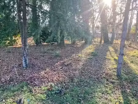 vente terrain 657 m² à saint-paul-lès-dax (40990)  132 000 €