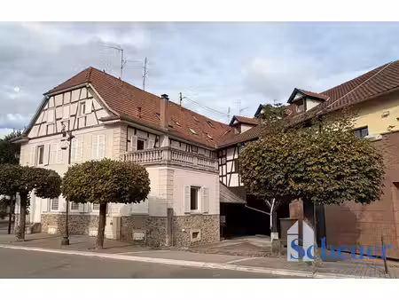 spacieux appartement 4 pièces avec cheminée à mutzig