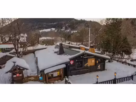 chalet avec terrasse annecy (74)
