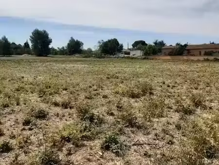 vente terrain 301 m² à saint-pargoire (34230)  95 000 €