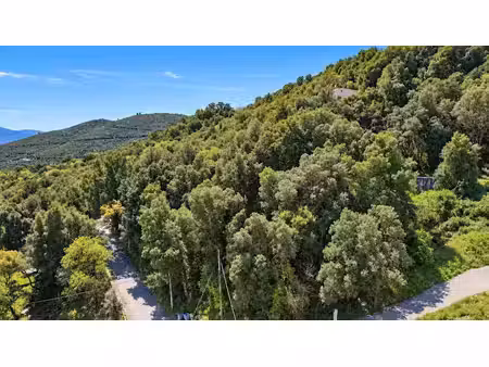 vente terrain 1350 m² à valle-di-mezzana (20167)  99 000 €