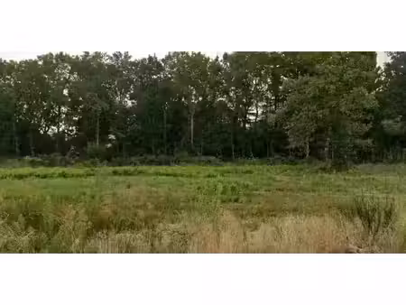 vente terrain 873 m² à saint-aubin-de-médoc (33160)  315 000 €