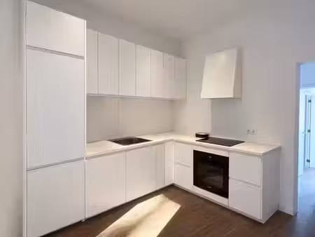 appartement rénové 1 chambre avec terrasse