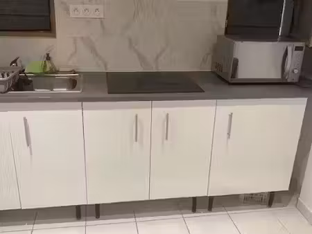 location meublée appartement 1 pièce 45 m² à bagnols-sur-ceze (30200)  540 €