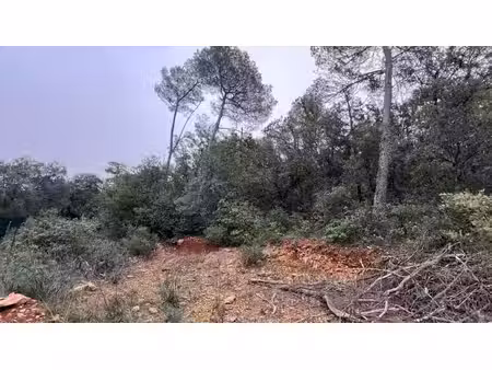 a vendre terrain à bâtir garéoult 2376 m2