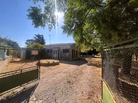 maison plain pied sur grand terrain