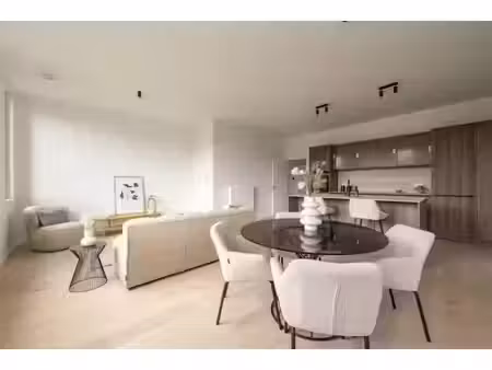 appartement à louer à grotesteenweg berchem (vbe78023)