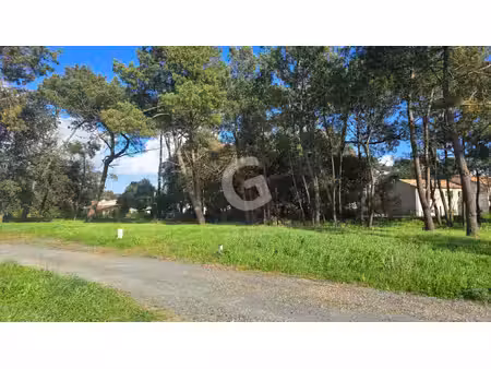 achat terrain 459m²