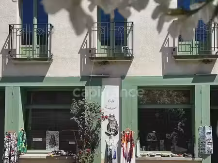 "chat"-oyante maison d’hôtes  10 pièces  8 chambres  avec jardin clos  à quinze minutes de