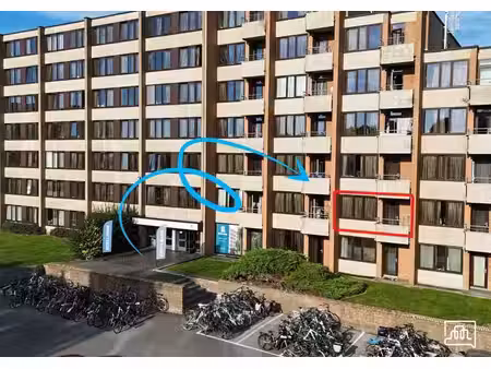 studio (étudiants)
