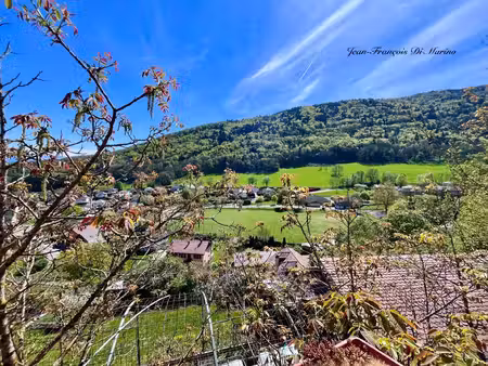 chalet à vendre 1 pièce monnetier mornex (74)