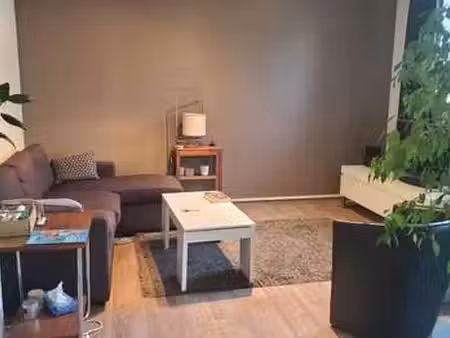 location appartement t1 meublé à villeurbanne (69100) : à louer t1 meublé / 10m² villeurba