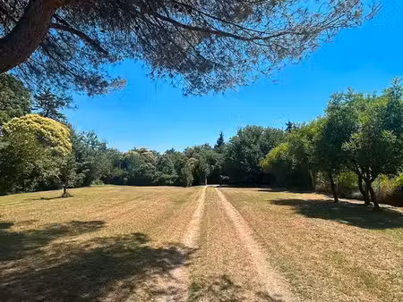 villa avec grand terrain