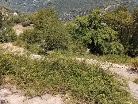 terrain à vendre