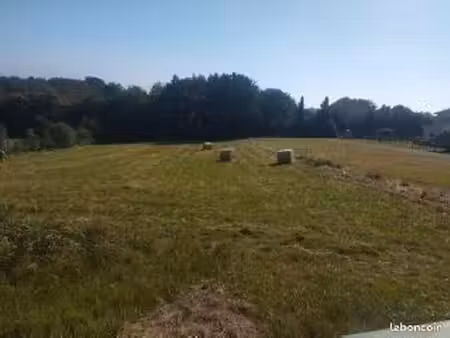 terrain agricole lasserre de cazaux