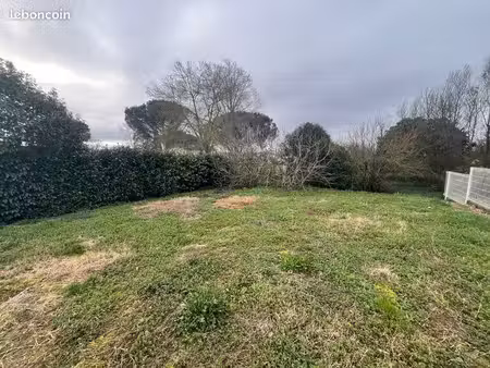 terrain 5´ muret