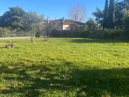 beau terrain plat