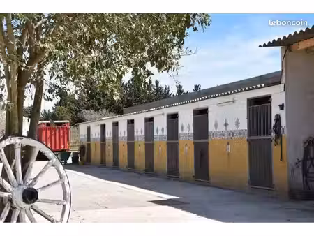 écurie